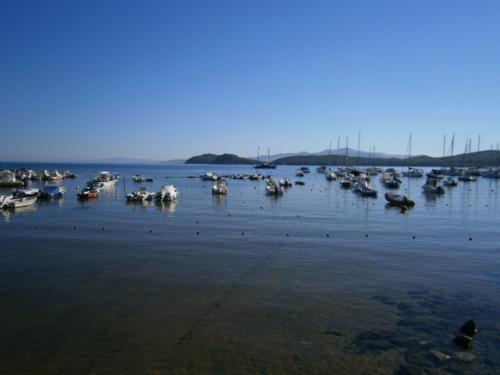 BARATTI